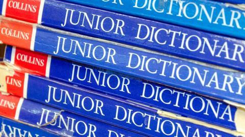 Picture of a stack of junior dictionaries