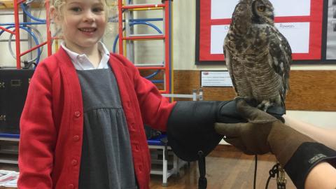 child with owl